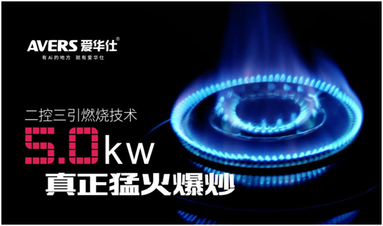 愛華仕廚衛電器榮獲“中國十大燃氣灶品牌”稱號